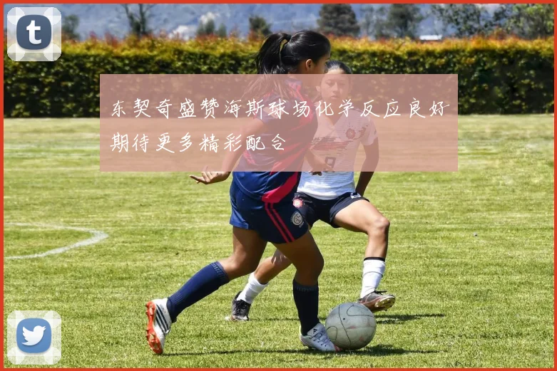 东契奇盛赞海斯球场化学反应良好期待更多精彩配合